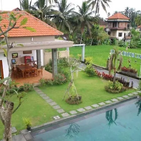 Comfortable And Peaceful House In Ubud